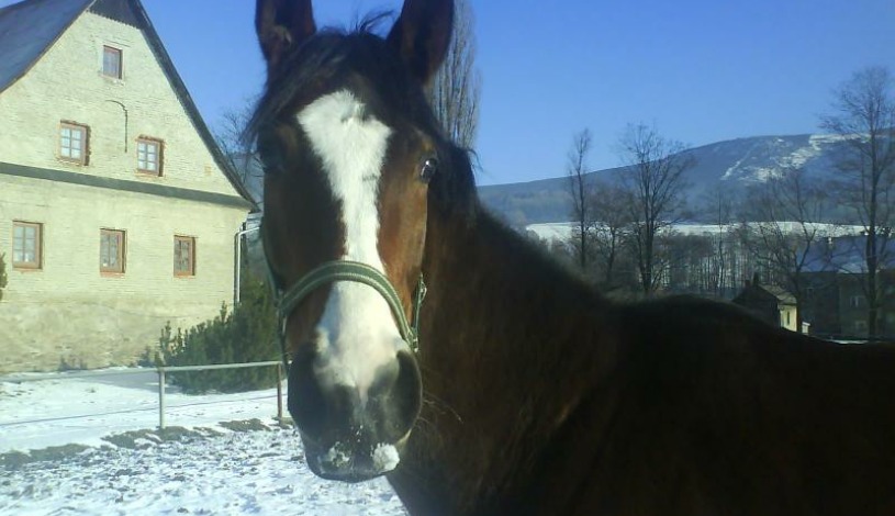 Usedlost Persianka Loučná nad Desnou